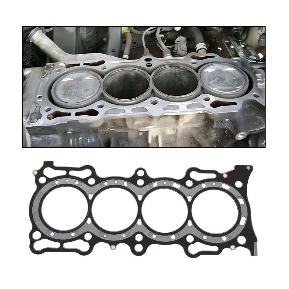 G-PLUS Head Gasket Set Bolts F23A7 Compatible with Acura CL 2.3L 1998-1999/Fit Honda Accord 2.3L 1998-2002/Fit Isuzu Oasis 2.3L 1998-1999/Fit Honda Odyssey 2.3L 1998 HS26155PT ES71329