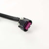 G-PLUS Standalone Wiring Harness Drive by Wire 4L60E 4.8 5.3 6.0 DBW Compatible with 2003-2007 Chevy, Gmc, Cadillac and Hummer Truck Engines (Drive by Wire Only) with 4l60e Transmissions.