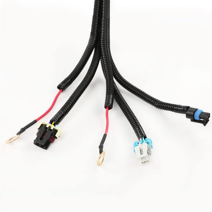 G-PLUS Standalone Wiring Harness T56 or Non-Electric Tran Compatible with 1997-2004 Corvette/Cts-V Ls1 / Ls6 Engines (Drive by Cable Only) 4L60E, TH350, TH400