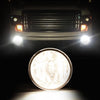 G-PLUS Fog Light w/Bulb Compatible with Ford F150 2011-2014/Fit Lincoln Mark LT 2011-2014 Front Bumper Fog Lamp Clear Lens faros antiniebla FO2592229 BL3Z15200A Left or Right Side