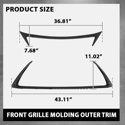 G-PLUS Front Grille Molding Outer Trim Set 2pcs Compatible with LX CT200H 2014-2017 Glossy Black