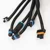 G-PLUS Standalone Wiring Harness T56 or Non-Electric Tran Compatible with 1997-2004 Corvette/Cts-V Ls1 / Ls6 Engines (Drive by Cable Only) 4L60E, TH350, TH400