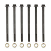 G-PLUS Cylinder Head Bolts Set Compatible with 2016-20 General 1000 (All Models) 2011-20 RZR 900 (All Models) 2014-20 RZR 1000 (All Models) 7519123 7520978 Cylinder Head Blots Studs 6pcs