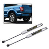 G-PLUS 0-3.5" N3 Rear Shocks Struts Lift Assemblies Kit Compatible With 2009-2020 F150 2WD 4WD (0-3.5" Lift)