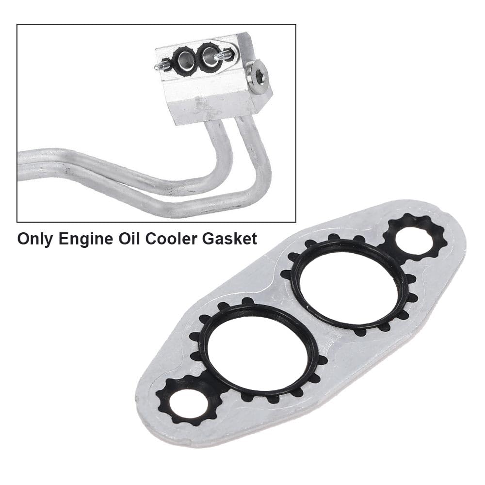G-PLUS Engine Oil Cooler Gasket Compatible with 1999-2020 Cadillac Escalade Chevy Silverado Suburban GMC Sierra 15203889