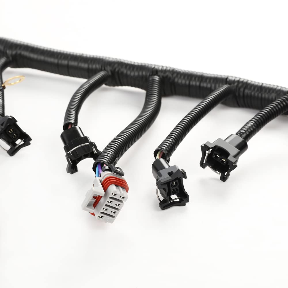G-PLUS Standalone Wiring Harness T56 or Non-Electric Tran Compatible with 1997-2004 Corvette/Cts-V Ls1 / Ls6 Engines (Drive by Cable Only) 4L60E, TH350, TH400