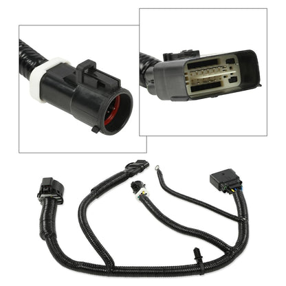 G-PLUS 7 Pin Trailer Tow Harness Compatible with Ford F150 2005-2008/ Compatible with Lincoln Mark LT 2006-2008 5L3Z13A576BA Tow Hitch Wiring Harness Connector