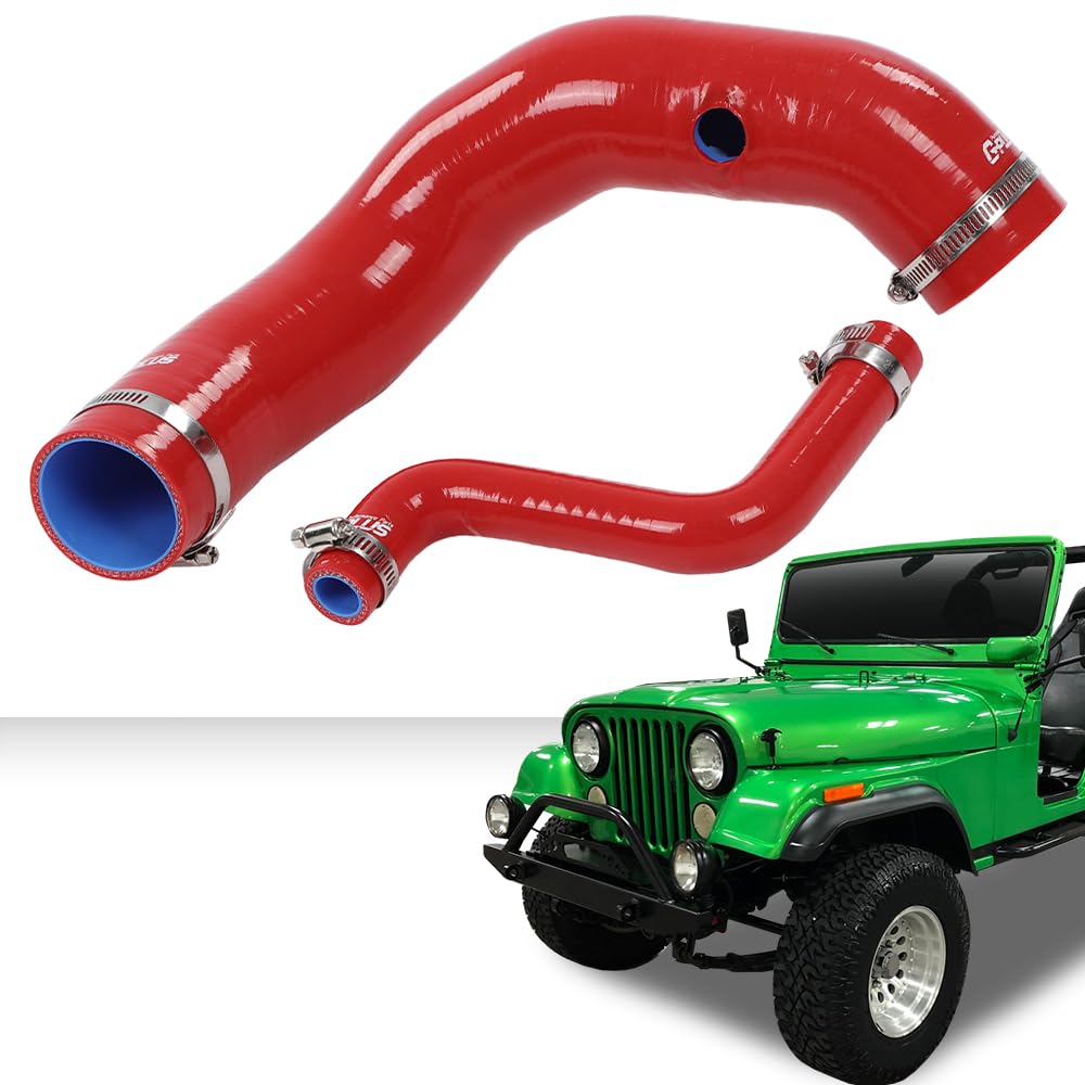 G-PLUS Red Fuel Hose Complete Kit Compatible with Jeep CJ5 CJ6 1970 1971 1972 1973 1974 1975