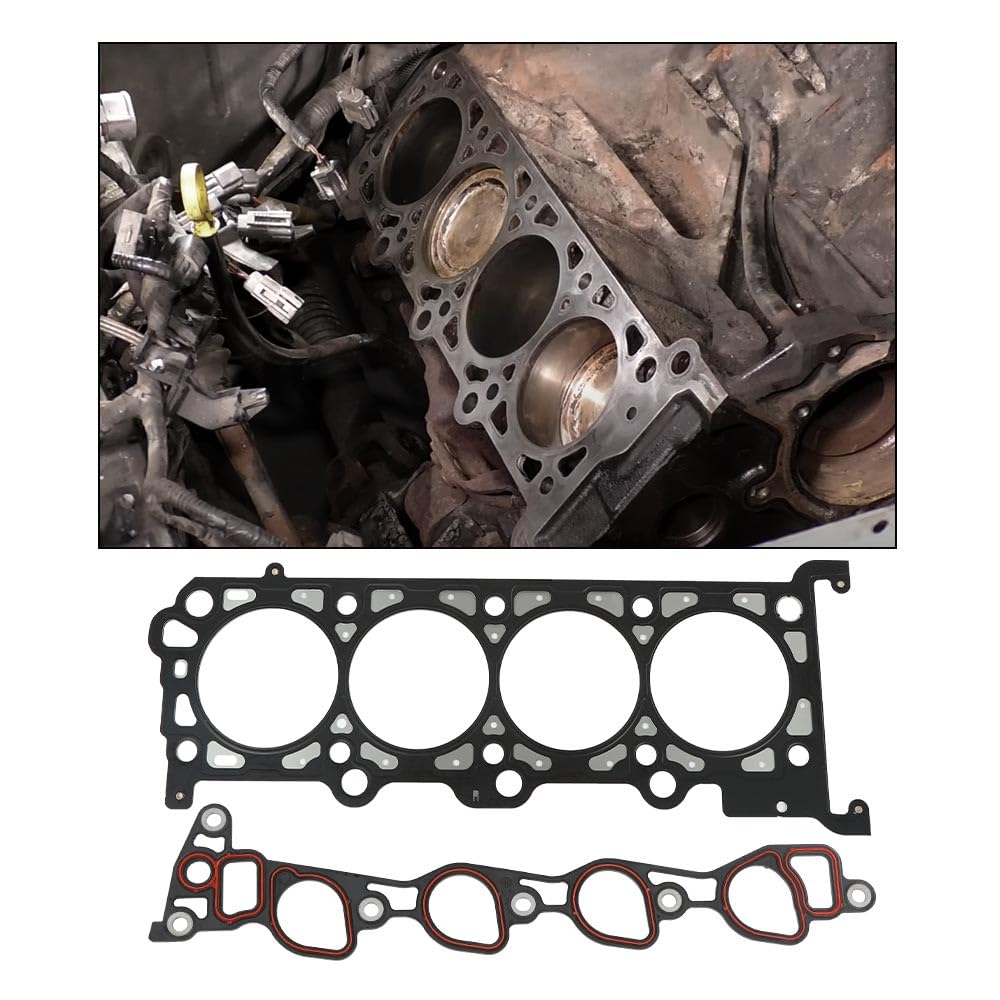 G-PLUS Head Gasket Set Bolts Compatible with Ford E150 Econoline Club Wagon/E150 Econoline 1999,Fit Ford Expedition 1997-1998/Fit Ford F150 F250 1997-1999 4.6L 281CID V8 HS9790PT-8 ES72798