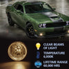G-PLUS 2Pcs Set Fog Lights Compatible With Dodge Nitro 2005-2008/Fit Dodge Challenger 2008-2010/Fit Dodge Charger 2006-2009 Smoke Lens