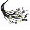 G-PLUS Engine Wiring Harness Compatible with Honda Civic Integra B16 B18 D16 OBD2 AP03 CNCH-OBD2-1