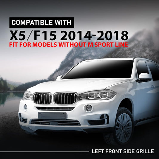 G-PLUS Front Left Bumper Lower Grille Grill, Compatible with BMW X5 F15 2014-2018, Fit Models W/o M Sport Line, Driver Side, 51117307993, BM1038151