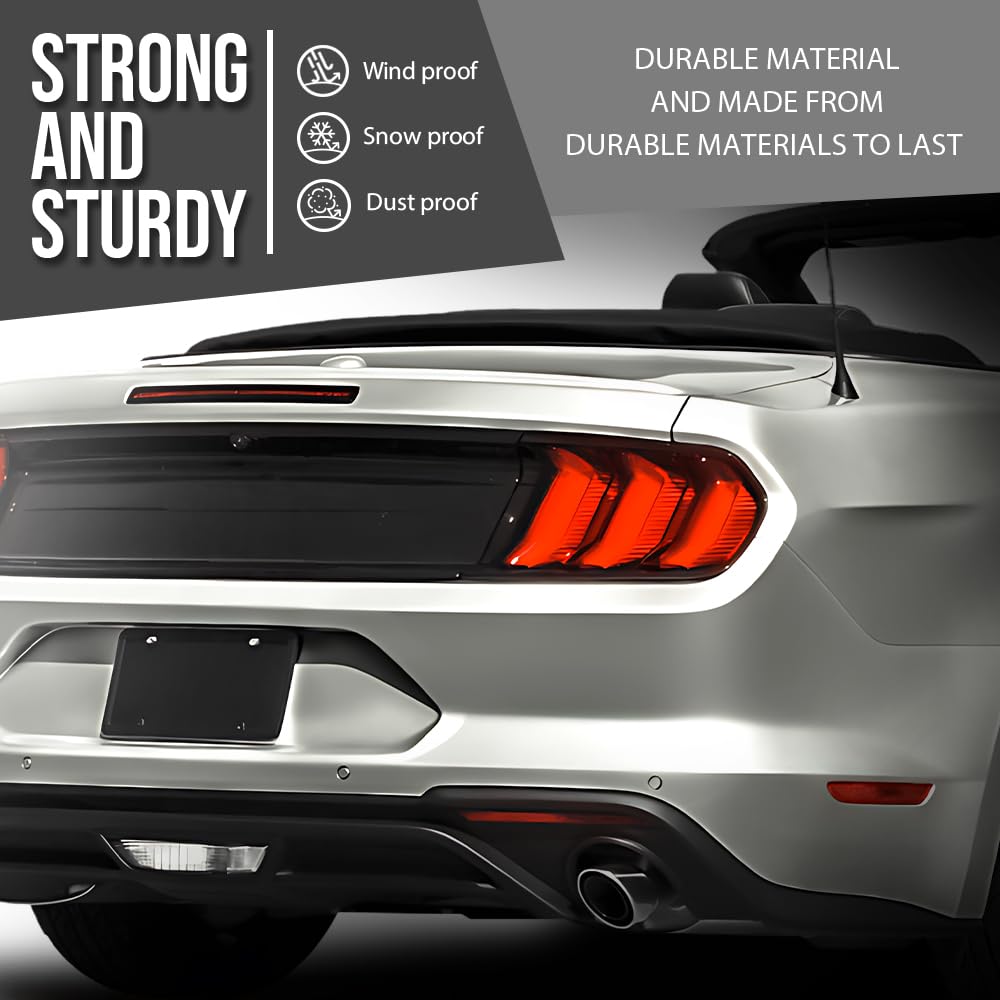 G-PLUS Rear Bumper Impact Absorber Compatible with Ford Mustang 2018-2020 JR3Z17E855B, FO1170152 Black