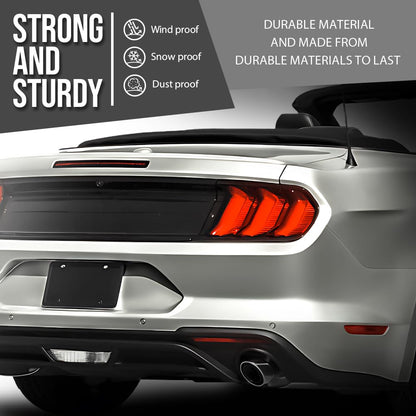 G-PLUS Rear Bumper Impact Absorber Compatible with Ford Mustang 2018-2020 JR3Z17E855B, FO1170152 Black