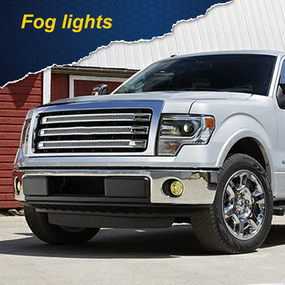 G-PLUS Bumper Fog Lights Compatible With 2011-2014 Ford F150, (NOT For SVT Raptor Models),Driving Fog Lamps w/Switch/Bracket/Bulbs Pair (Yellow lens)