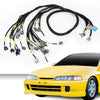 G-PLUS Engine Wiring Harness Compatible with Honda Civic Integra B16 B18 D16 OBD2 AP03 CNCH-OBD2-1