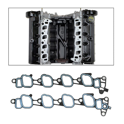 G-PLUS Head Gasket Set Bolts Compatible with Ford F150 F250 F350 Super Duty 2000-2004/Ford E150 E250 E350 E450 2000-2003,Fit Ford Expedition Excursion 2000-2005 HS9790PT-15, ES72798